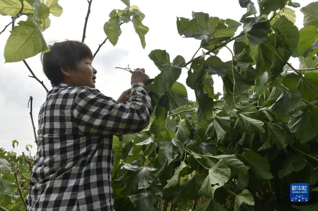 捕鱼游戏免费下载